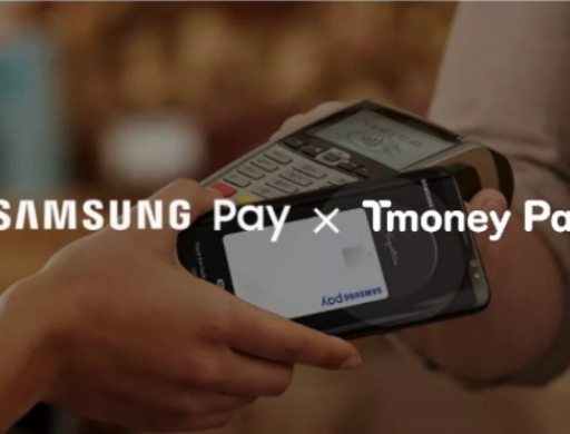 더모아 댐댐으로 충전한 포인트 삼성페이로 결제하는 방법 (티머니페이) 댐댐 삼성페이